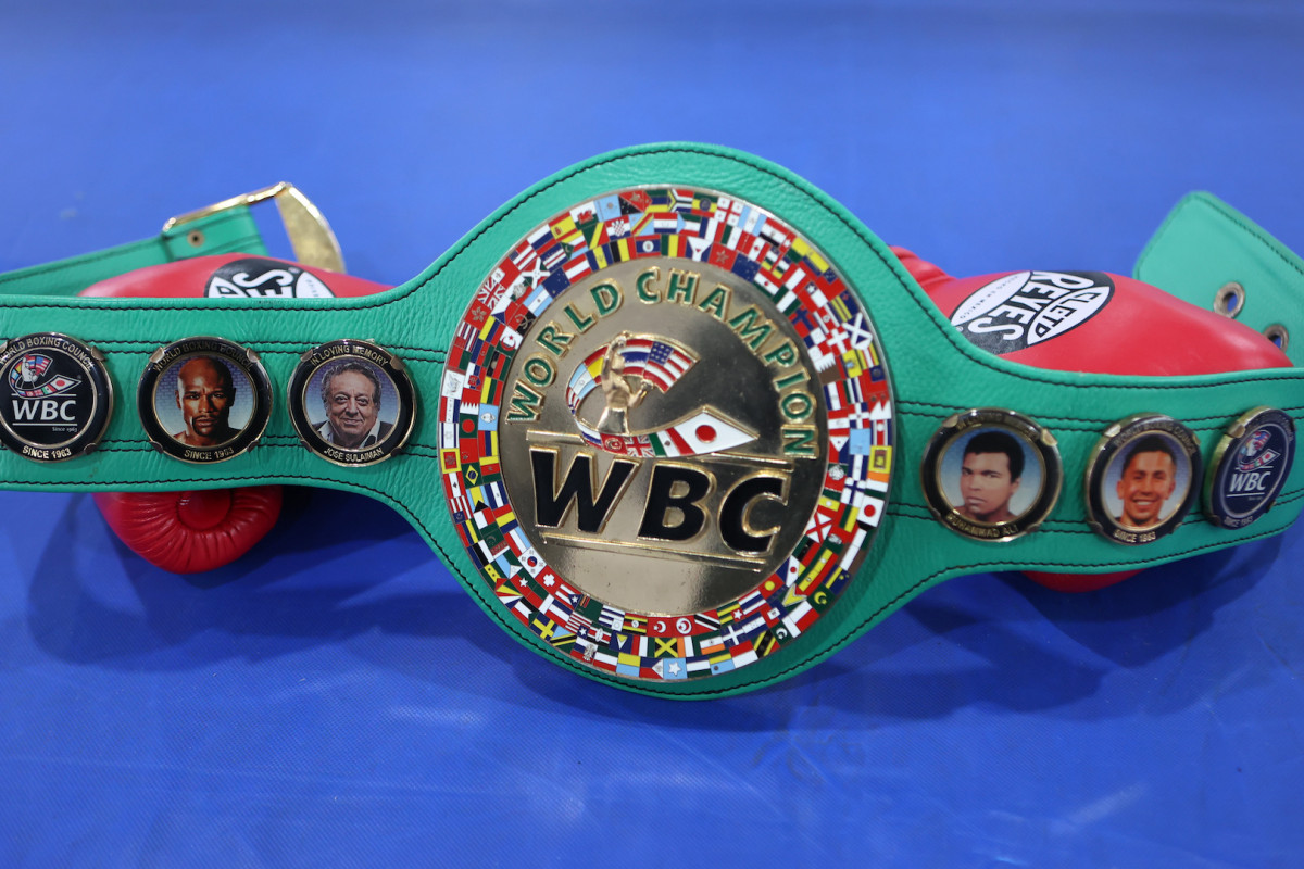 World Boxing Council Plans To Create Transgender Category