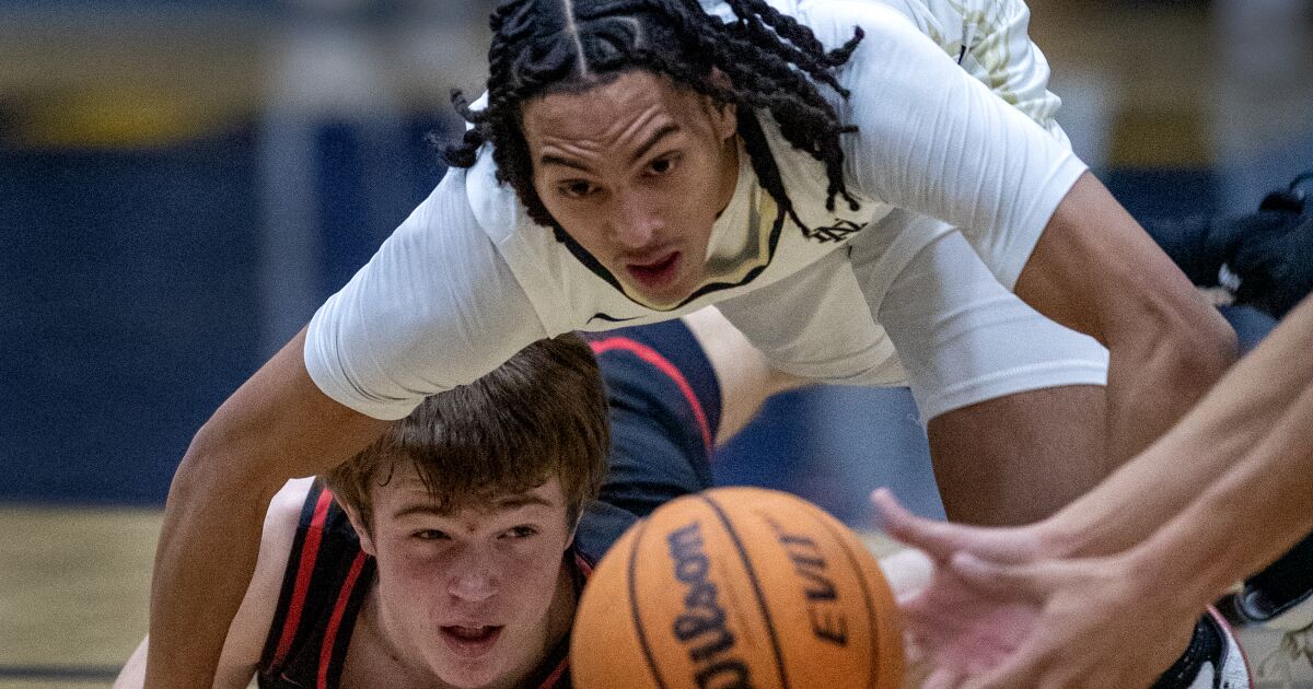 Basketball readiness: Sherman Oaks Notre Dame beat Doherty Valley