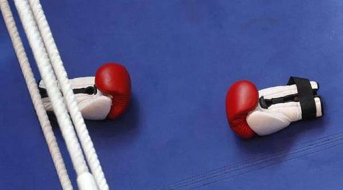 World Boxing Council Creates Transgender Category