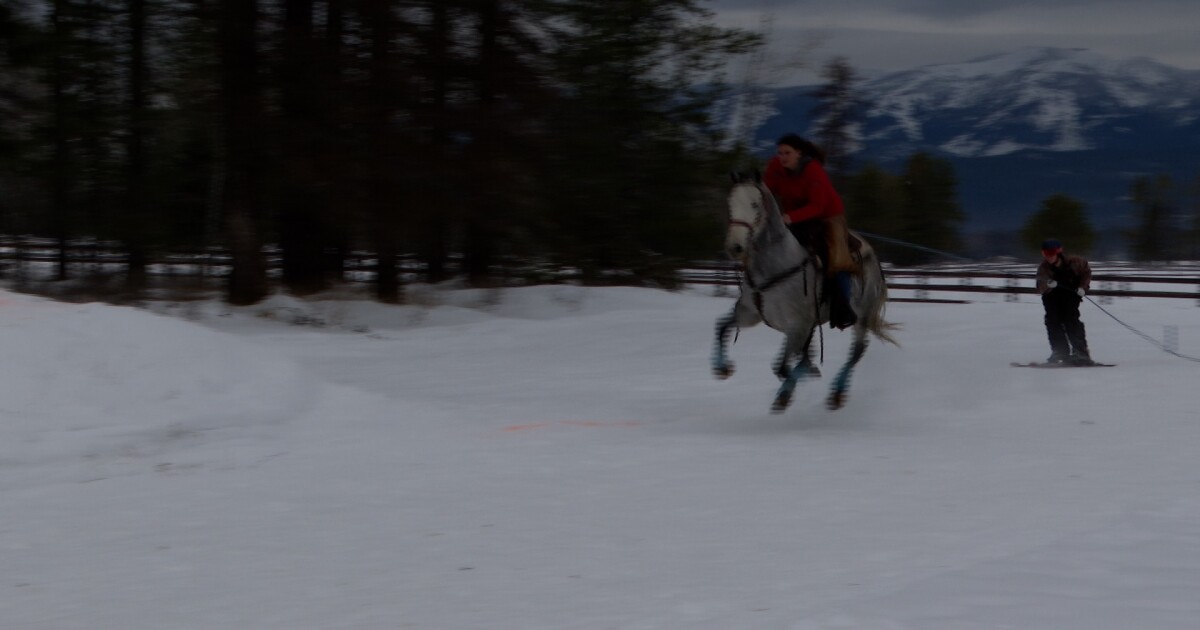 Winter sports in Montana are in full swing with Whitefish Skijoring event