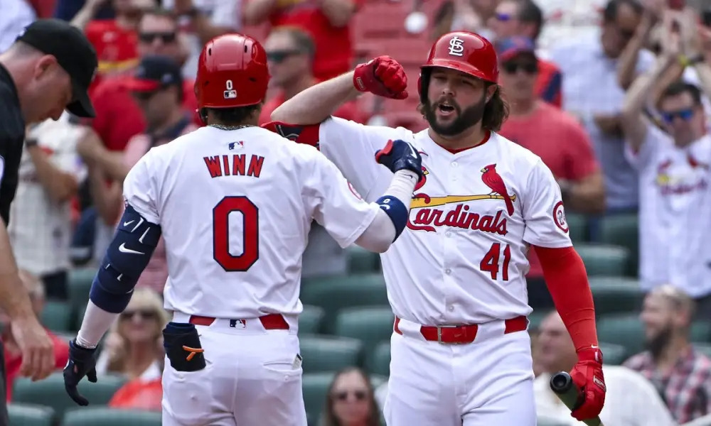 A Battle of Birds: Cardinals vs. Blue Jays