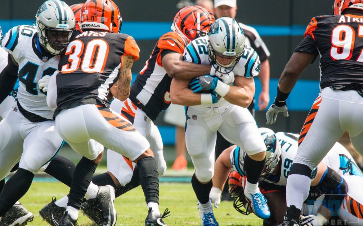 Desperate Measures: Bengals Seek Redemption Against Resilient Panthers