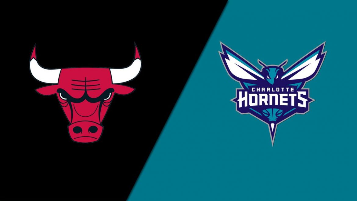 Hornets to Bite Back: Why Betting on the Underdogs