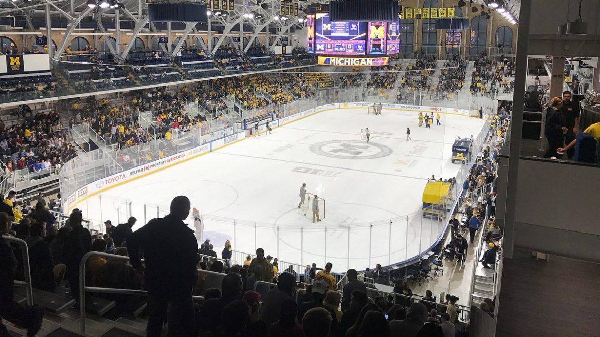 Leafs Hire Hiller as Head Coach Ahead of NHL Draft