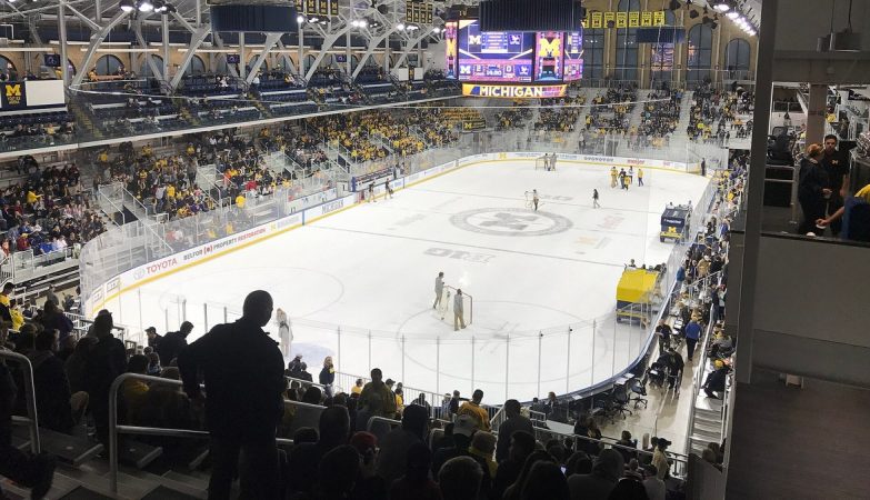 Leafs Hire Hiller as Head Coach Ahead of NHL Draft