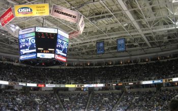 San Jose Sharks Draft Grades: Stenberg, Verhoeff and Lin Highlight a Busy NHL Draft