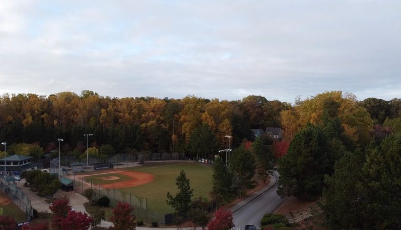 UGA Baseball Trends After NCAA Super Regional Run, Spotlighting Georgia’s College Baseball Rise