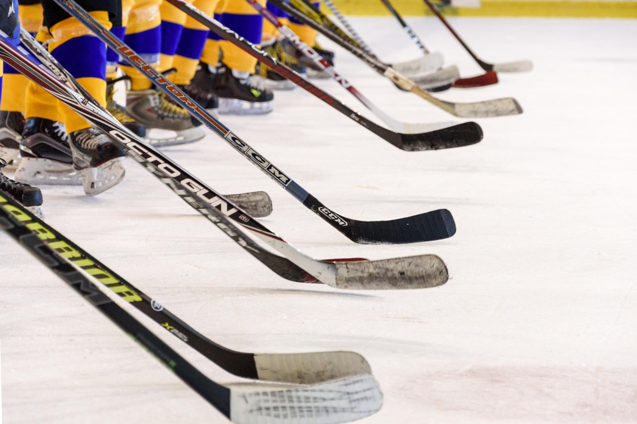 NHL Game Predictions Tool