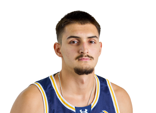 Dimitrije Vukicevic