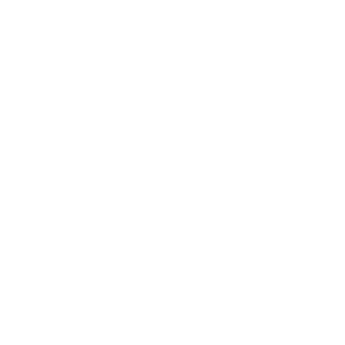 Toronto Raptors