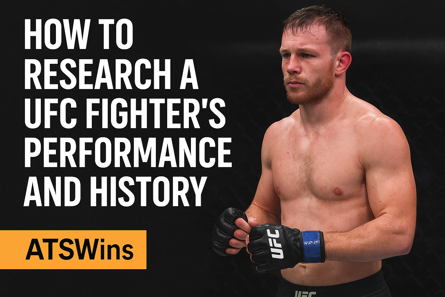 How Do I Research UFC Fighter Performance and History? - 101